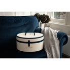 Hat box on navy sofa