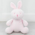 Twin Hospital Bag Bundle <br> Duchess Collection  <br>  21 Piece Set - Mamas Hospital Bag Ireland